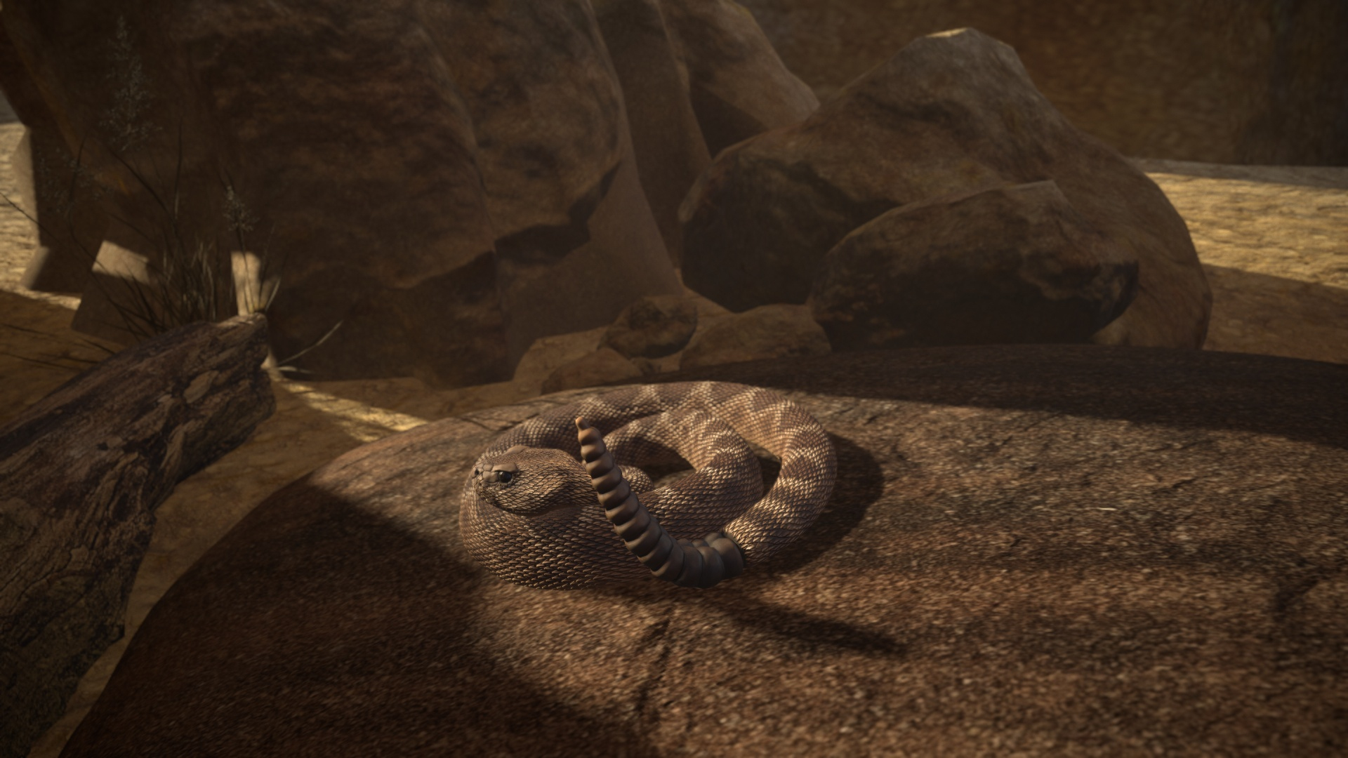 Rattlesnake 3D model https://p.turbosquid.com/ts-thumb/zD/qOTdbA/fz/ttb/jpg/1626573833/1920x1080/turn_fit_q99/b2d03549c4d1e838182c5374553f4d80f7740e89/ttb-1.jpg