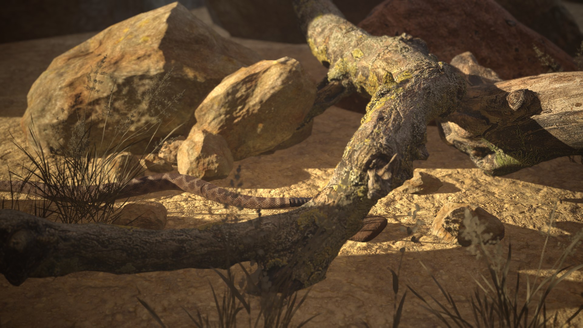 Rattlesnake 3D model https://p.turbosquid.com/ts-thumb/zD/qOTdbA/jU/screenshot070/png/1626569518/1920x1080/fit_q87/5bdbd8be10e4dc80d13079974e6401c0077f6eb4/screenshot070.jpg
