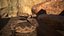 Rattlesnake