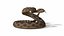 Rattlesnake