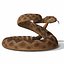 Rattlesnake