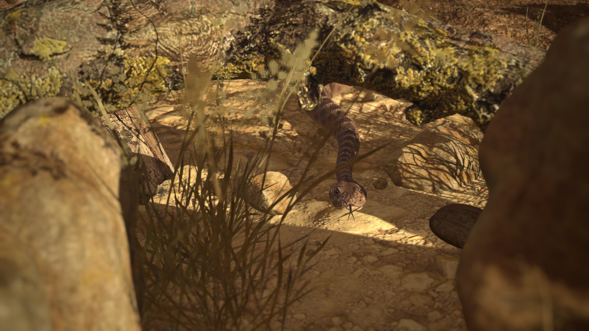 Rattlesnake 3D model https://p.turbosquid.com/ts-thumb/zD/qOTdbA/m5/screenshot078/png/1626569498/1920x1080/fit_q87/cf6aed458c933474f6993979a143f2babf2a270d/screenshot078.jpg