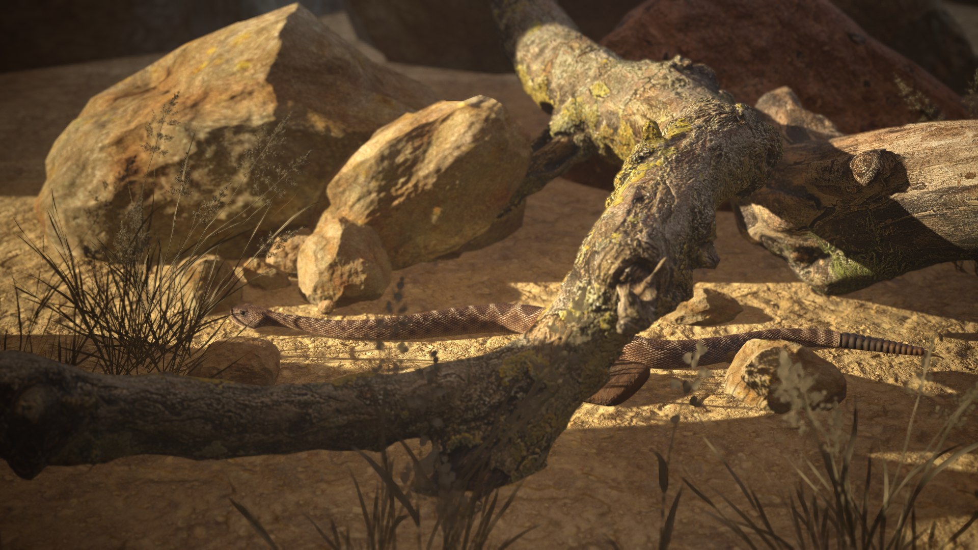 Rattlesnake 3D model https://p.turbosquid.com/ts-thumb/zD/qOTdbA/mz/screenshot067/png/1626569513/1920x1080/fit_q87/ef939aeb13b5eccc89e51eac912c723b7bd1f03b/screenshot067.jpg