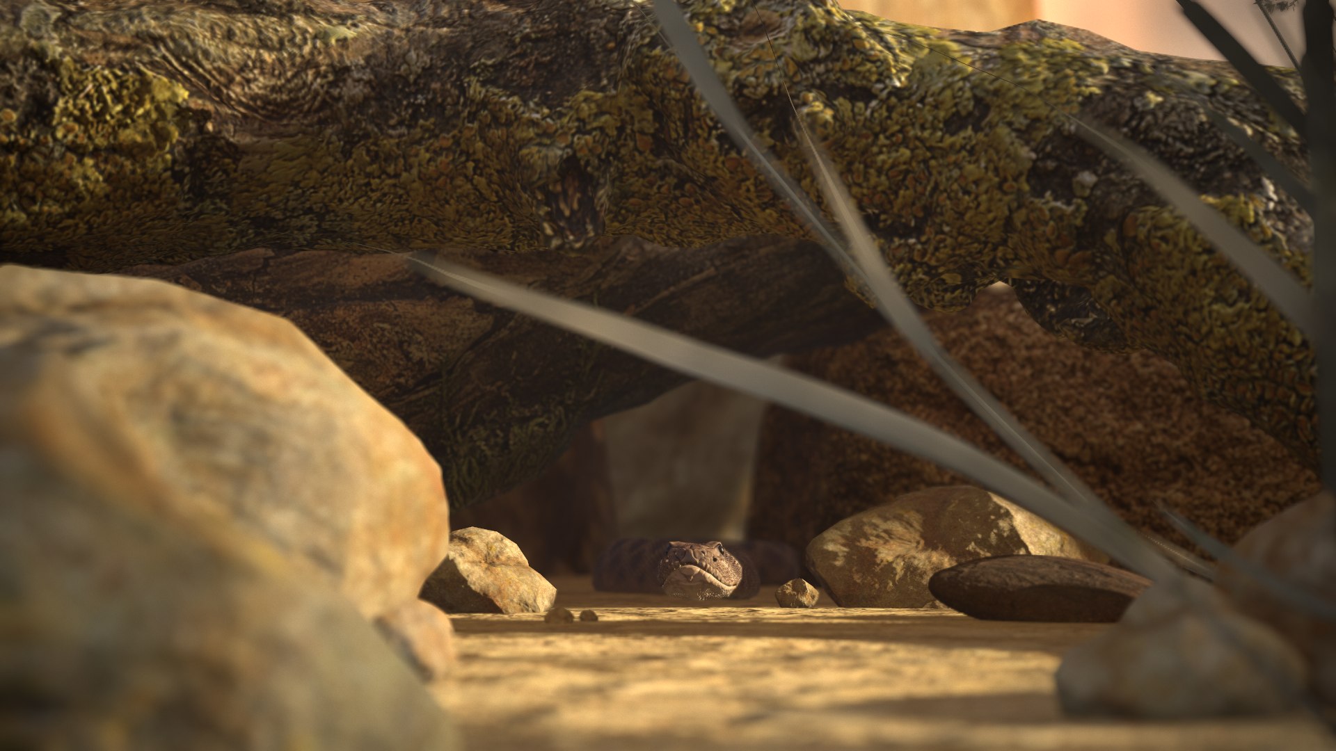 Rattlesnake 3D model https://p.turbosquid.com/ts-thumb/zD/qOTdbA/os/screenshot059/png/1626569485/1920x1080/fit_q87/139057acf2ab87a7133dbb13769a0eec21d09e77/screenshot059.jpg
