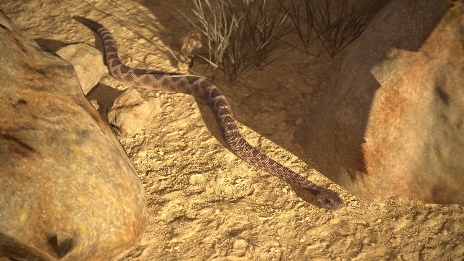 Rattlesnake 3D model https://p.turbosquid.com/ts-thumb/zD/qOTdbA/pI/screenshot073/png/1626569532/1920x1080/fit_q87/57c4df4f4521e3ed5d34752f0d0c4eaa3b9a6145/screenshot073.jpg