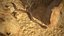 Rattlesnake