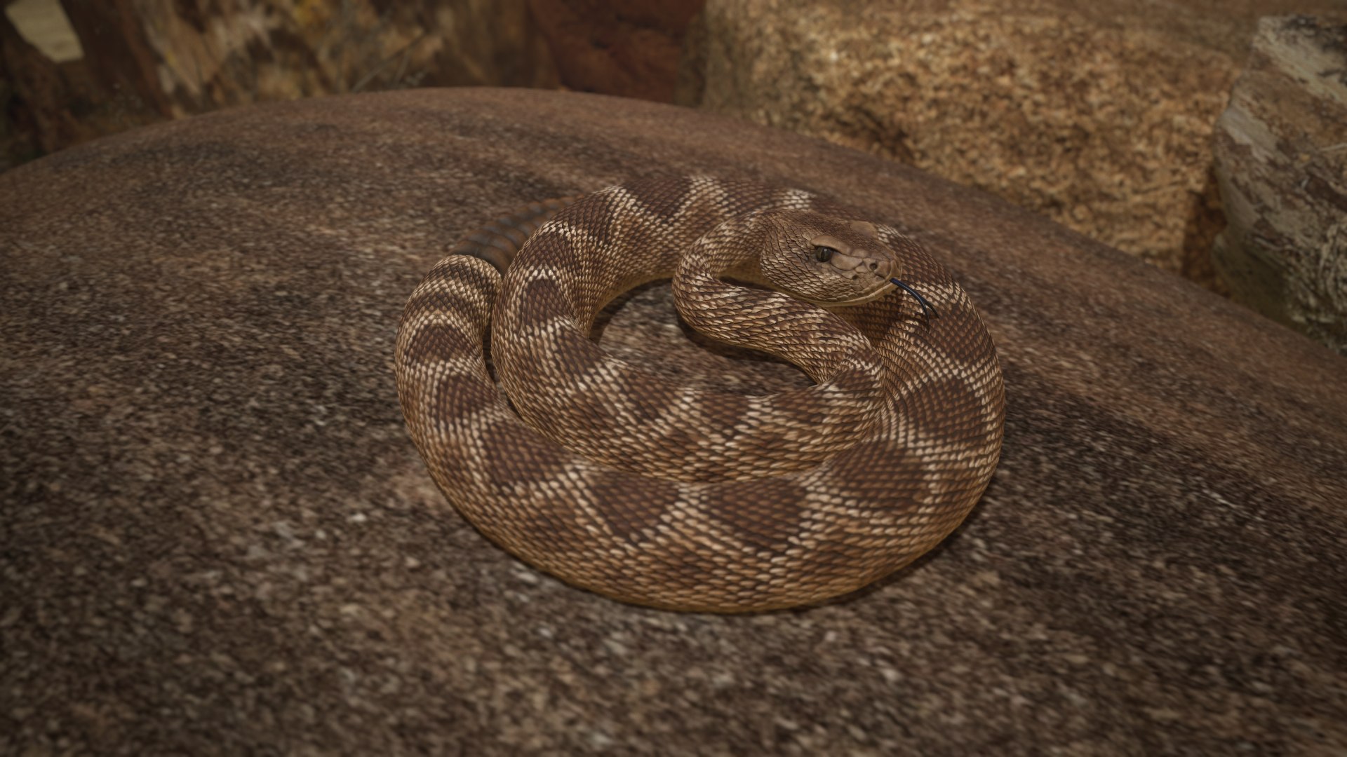Rattlesnake 3D model https://p.turbosquid.com/ts-thumb/zD/qOTdbA/pO/screenshot083/png/1626569497/1920x1080/fit_q87/df90b5f09da2c2dc8b41500f79b7942ee3c6cf10/screenshot083.jpg