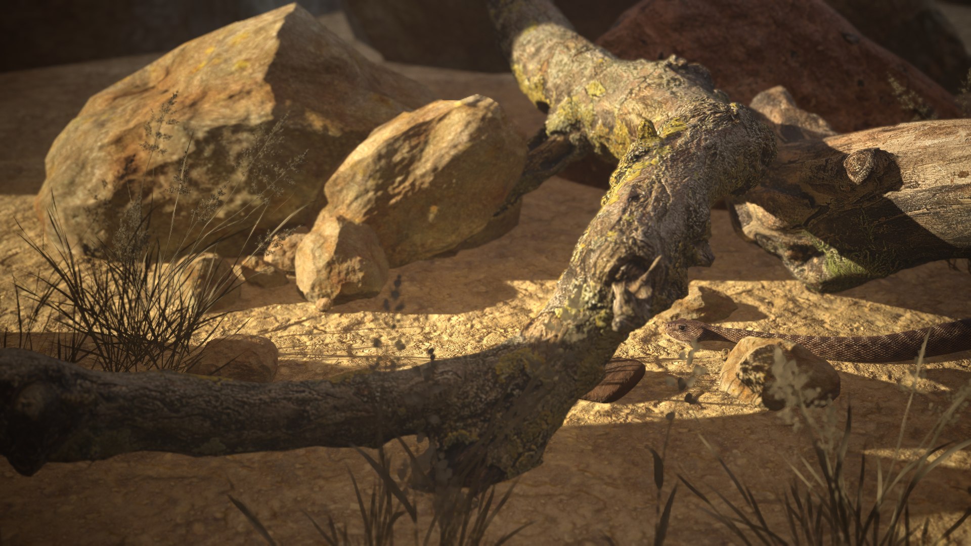 Rattlesnake 3D model https://p.turbosquid.com/ts-thumb/zD/qOTdbA/sr/screenshot062/png/1626569503/1920x1080/fit_q87/177c99661e9ca6ab1f58766fb7eac96a1838d764/screenshot062.jpg
