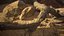 Rattlesnake