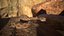 Rattlesnake