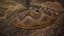 Rattlesnake