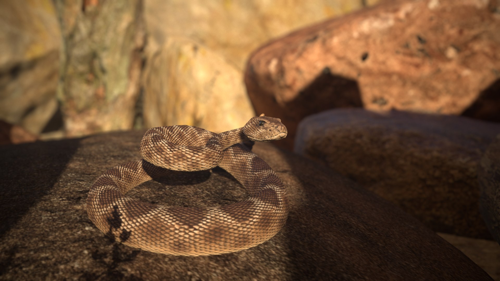 Rattlesnake 3D model https://p.turbosquid.com/ts-thumb/zD/qOTdbA/wI/screenshot004/png/1626569414/1920x1080/fit_q87/fce23e072cb514cb16cf24e9b4811a46b2e10601/screenshot004.jpg