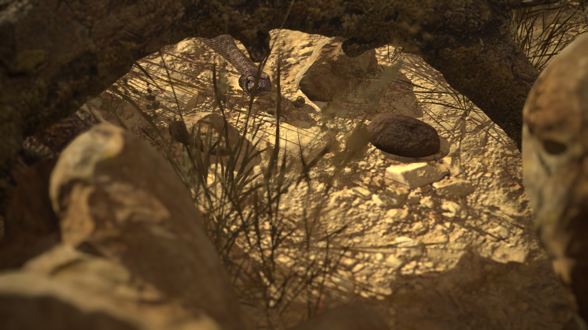 Rattlesnake 3D model https://p.turbosquid.com/ts-thumb/zD/qOTdbA/yA/ttb/jpg/1626574152/1920x1080/turn_fit_q99/eefa12bed6d8b65f61fab44c59a8e7898b29af65/ttb-1.jpg