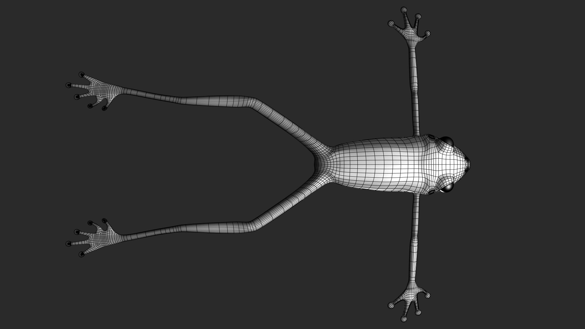Realistic Frog Animate 3D Model - TurboSquid 1366452