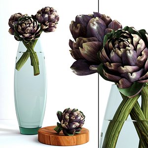 vase burgundy artichokes flowers plants 3d model