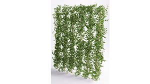 Ivy 3D model