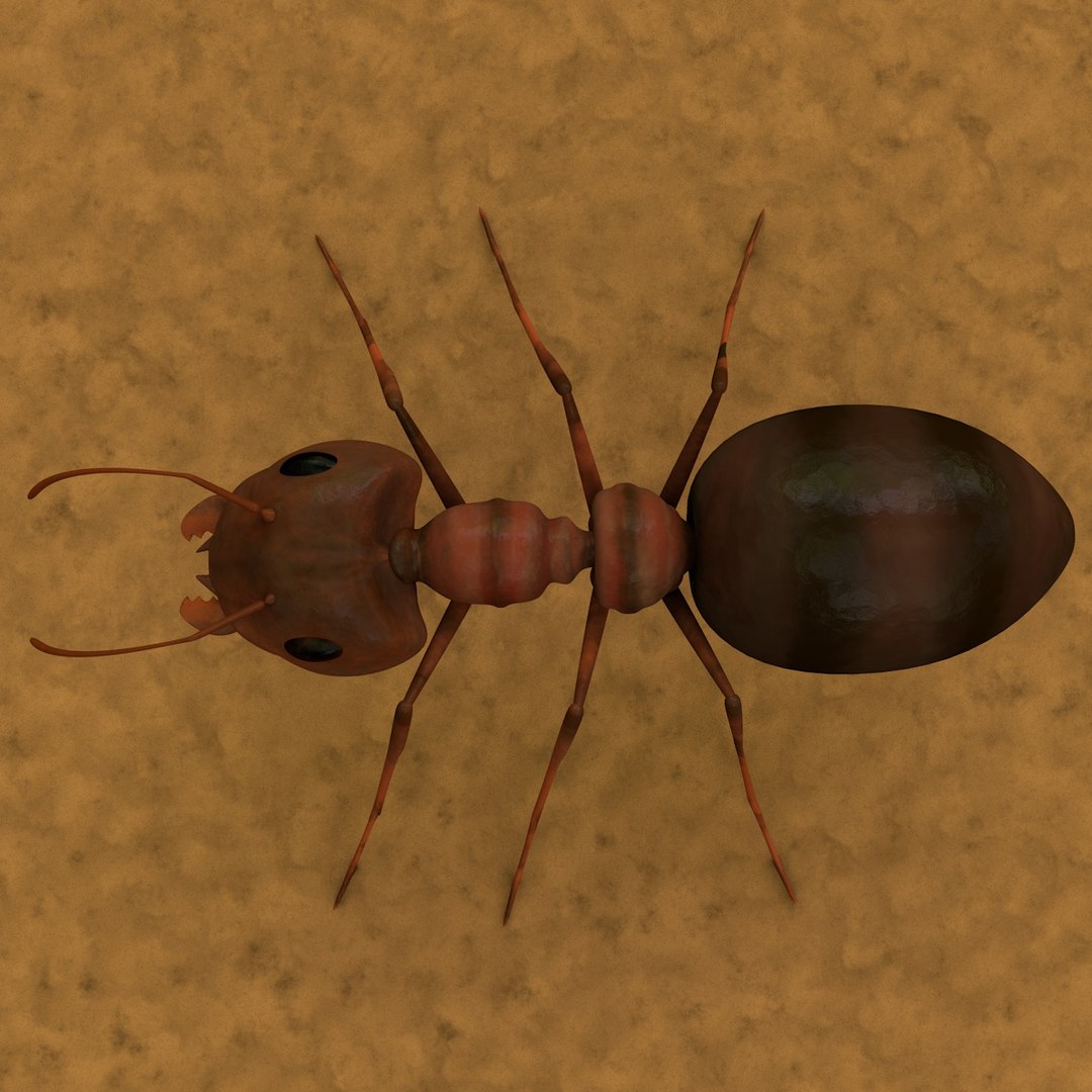 ant animation running 3ds free https://p.turbosquid.com/ts-thumb/zE/CWQ8Z0/LAHnjLKz/2_0021/jpg/1412843937/1920x1080/fit_q87/2e03a4d497ae05c97b9df7651b21df65c234cc39/2_0021.jpg