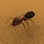 Ant (Anim correr)