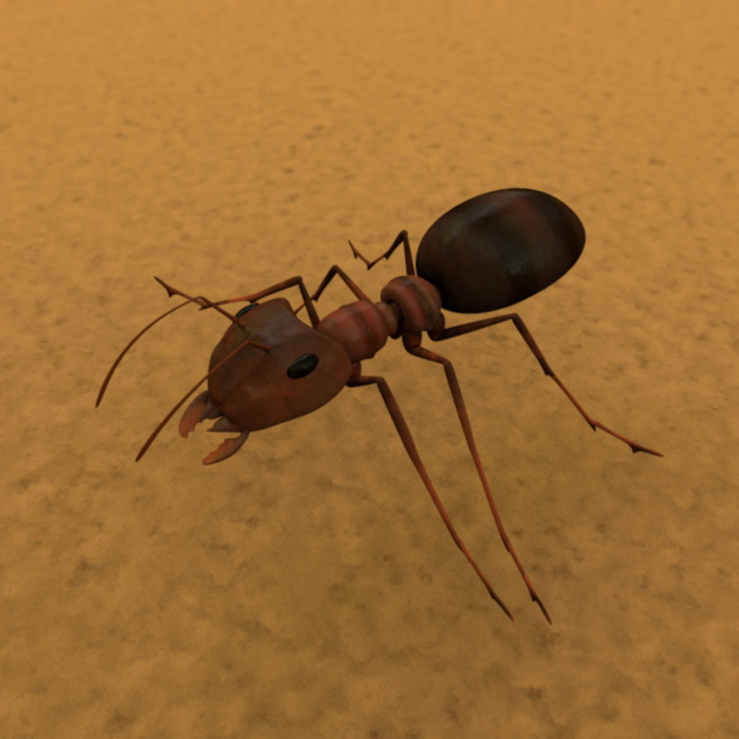 ant animation running 3ds free https://p.turbosquid.com/ts-thumb/zE/CWQ8Z0/yUOrvzMW/run0020/jpg/1412843953/1920x1080/turn_fit_q99/57b1c594be4d63b2092cb8d18d0edc4243295e00/run0020-1.jpg