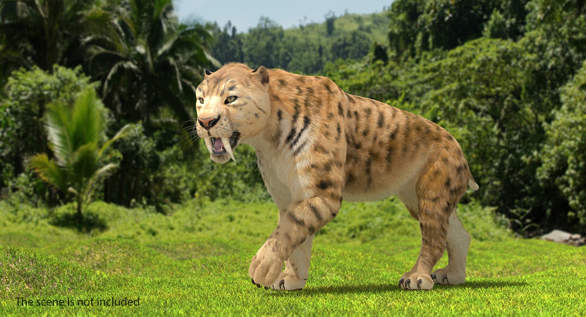 3D Saber Tooth Tiger Walking - TurboSquid 1329679