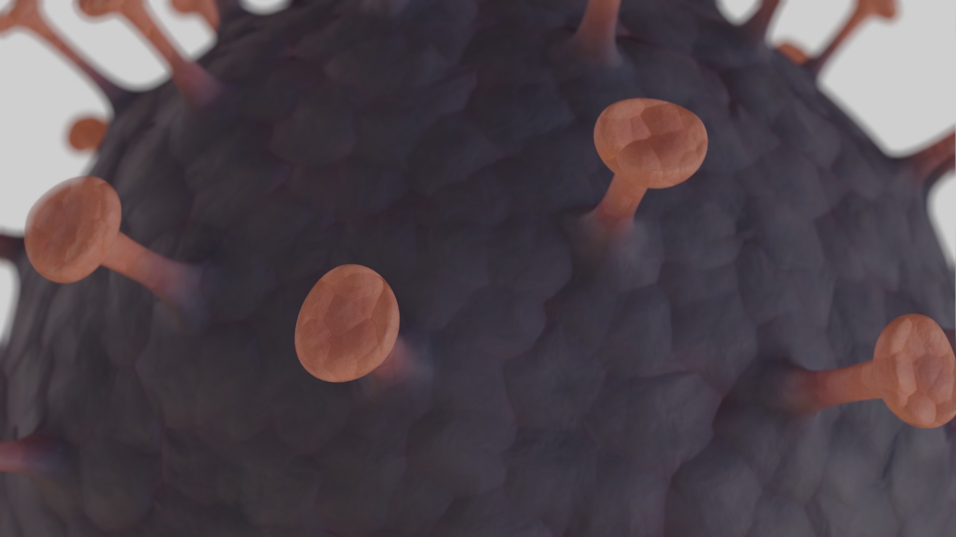 coronavirus covid 19 pbr 3D model https://p.turbosquid.com/ts-thumb/zE/IYjWIp/SJsmYlqo/preview4/jpg/1585517873/1920x1080/fit_q87/59d06f61df69c8af0e08f31b6267dc9d78320670/preview4.jpg