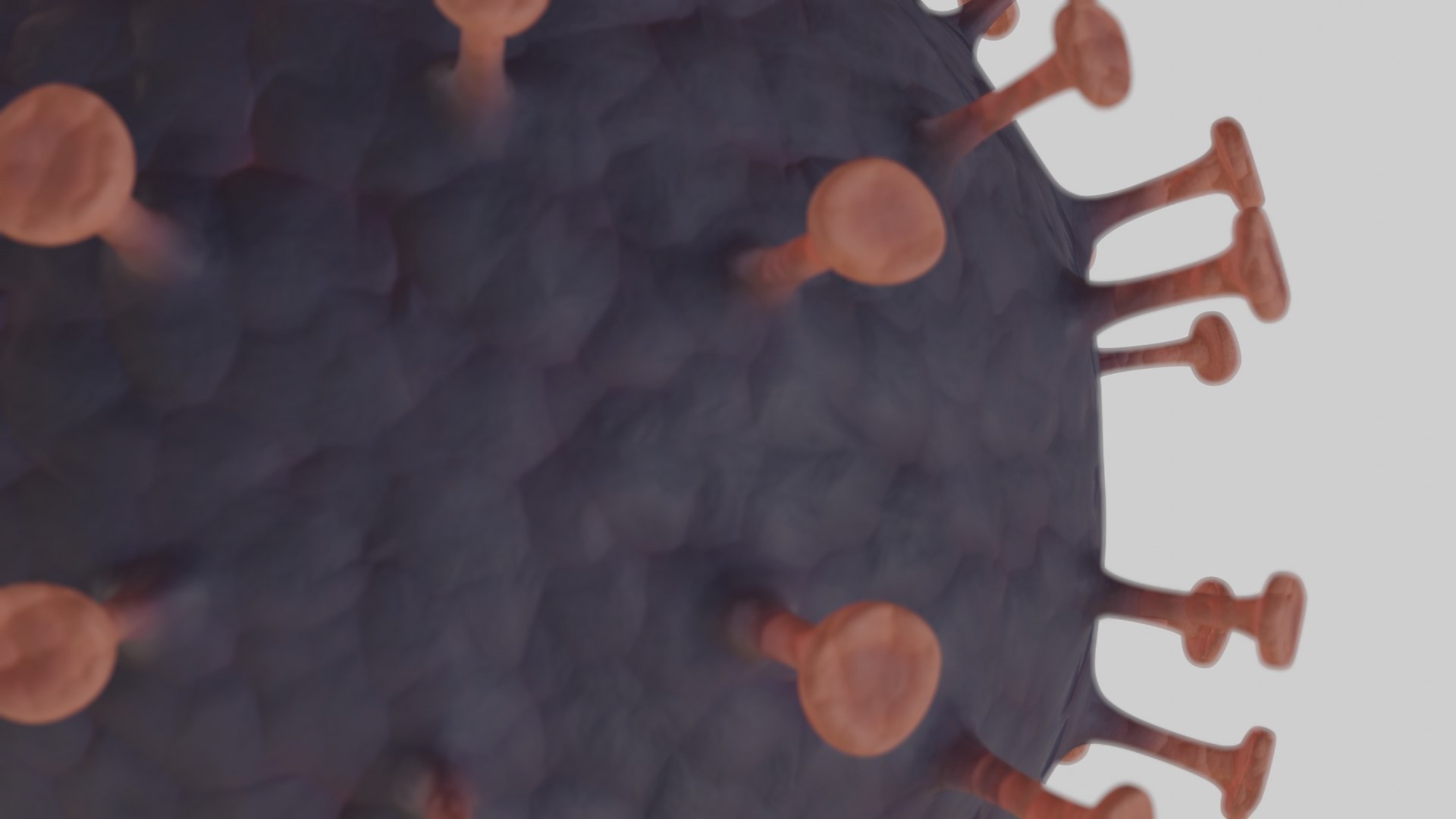 coronavirus covid 19 pbr 3D model https://p.turbosquid.com/ts-thumb/zE/IYjWIp/TSV3CF2x/preview5/jpg/1585517873/1920x1080/fit_q87/2af45273a4ef6e4a2348a71c19c026ae7d1087a6/preview5.jpg