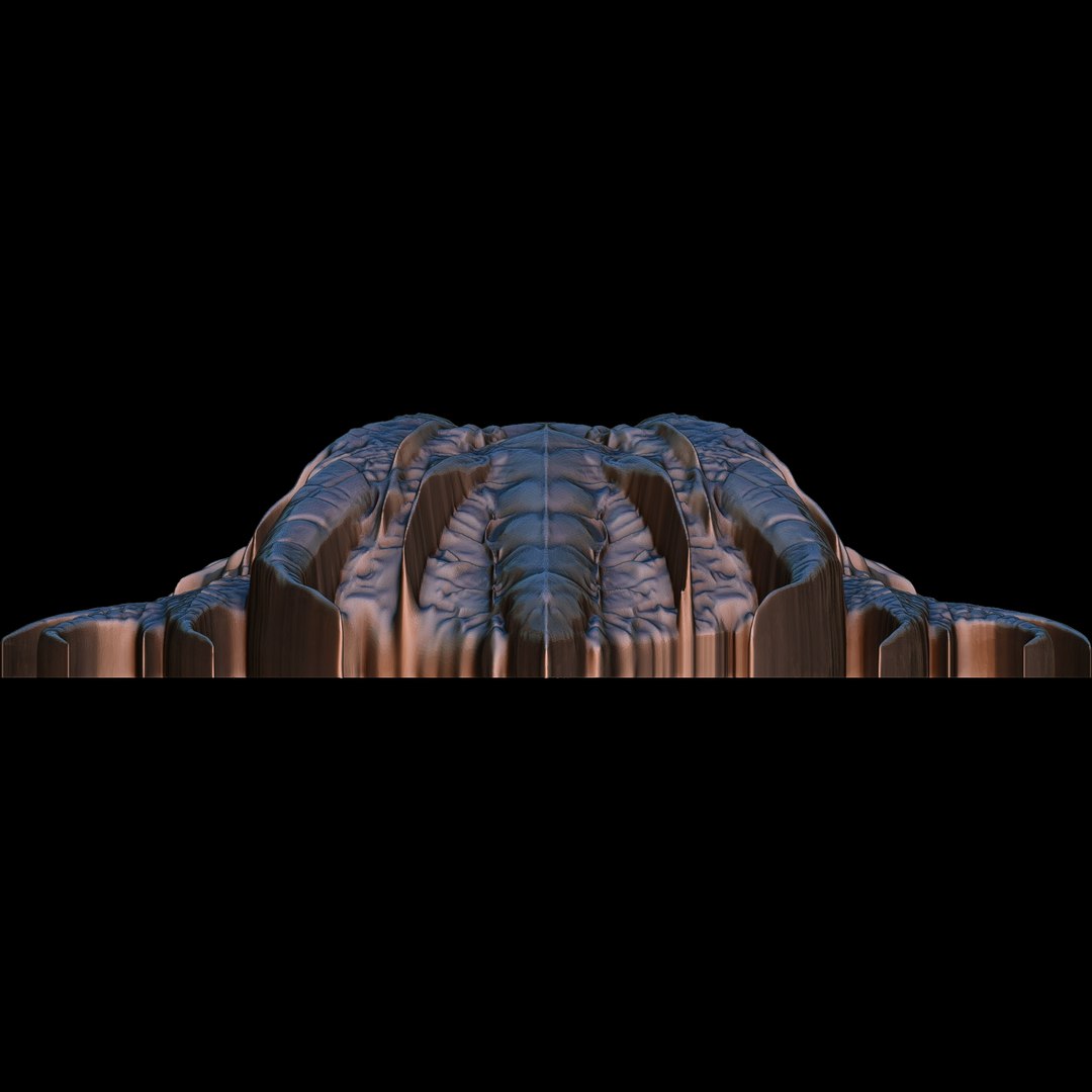 Dragon Head Relief No3 3D print model 3D model https://p.turbosquid.com/ts-thumb/zE/OfrleI/c2/dragonheadreliefno9/jpg/1731533991/1920x1080/fit_q87/db2f2f1083d5f611992a754a9d4e577a23873de1/dragonheadreliefno9.jpg