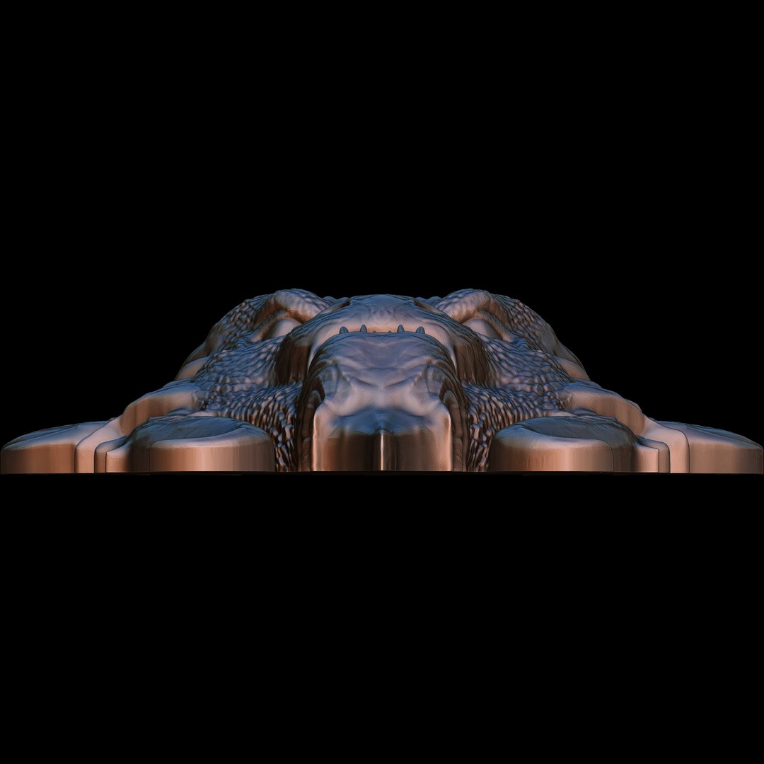 Dragon Head Relief No3 3D print model 3D model https://p.turbosquid.com/ts-thumb/zE/OfrleI/mS/dragonheadreliefno11/jpg/1731533994/1920x1080/fit_q87/c99f316ef75b5d3263d03468dbe1351d5e8df08f/dragonheadreliefno11.jpg