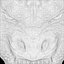 Dragon Head Relief No3 3D print model