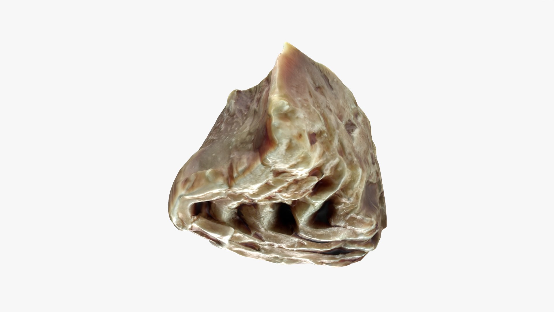 Canned Tuna Chunk 3D model https://p.turbosquid.com/ts-thumb/zE/YvOfn6/oA/model_0009/png/1759062551/1920x1080/fit_q87/b4cc7699d0ef41360dd35242ae63e4e8812dce8a/model_0009.jpg