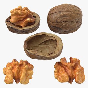 3D Walnuts model