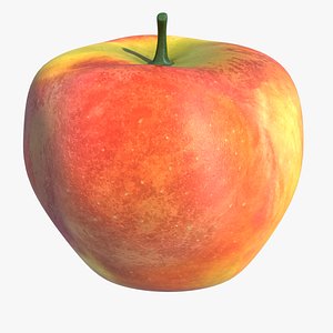 apple 3d max