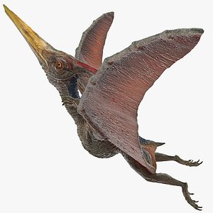 3D pteranodon rigged