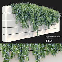 Cascading Rosemary 2