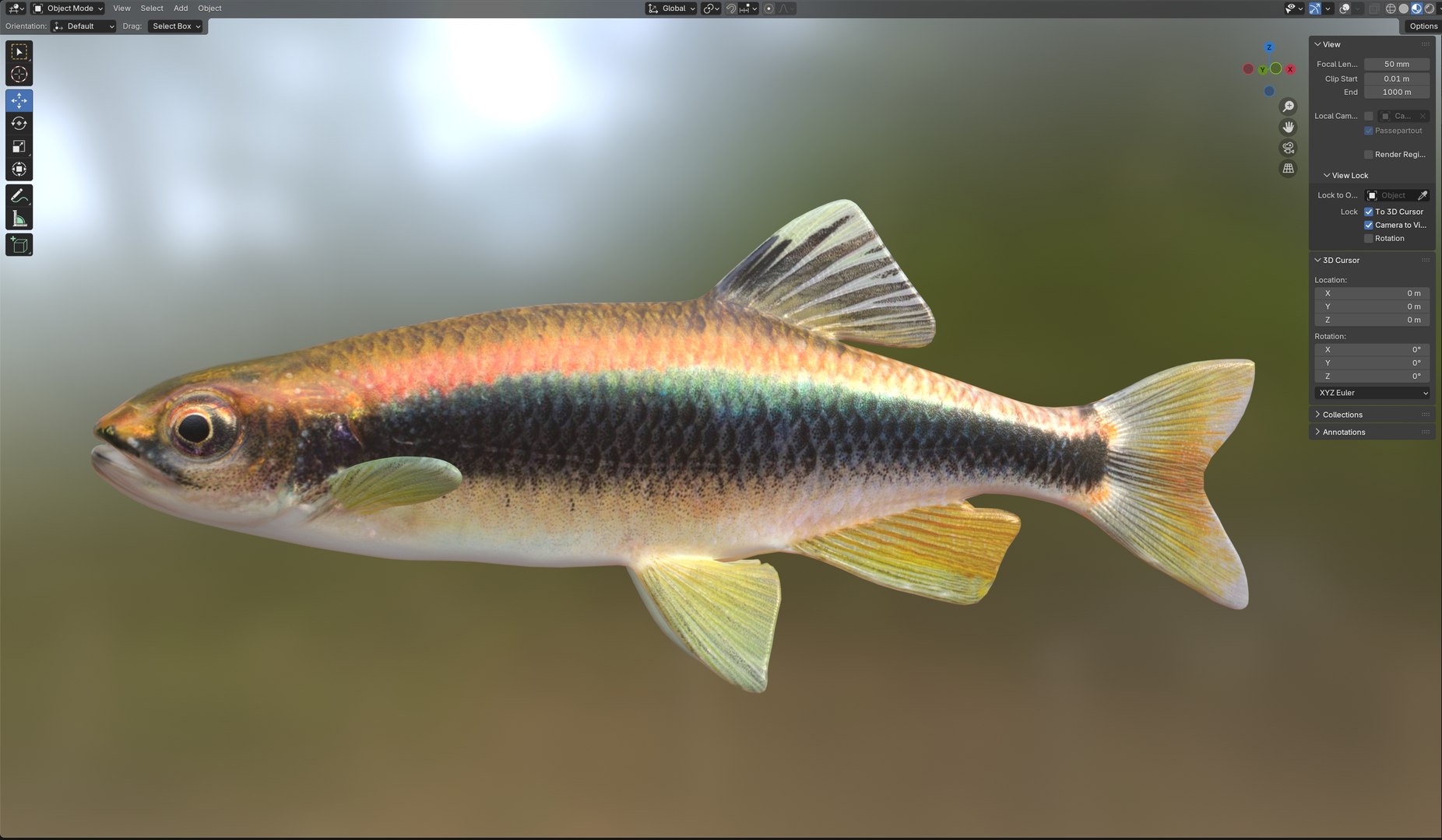3D Sailfin Shiner fish https://p.turbosquid.com/ts-thumb/zE/w4obqv/7q/6/jpg/1767971506/1920x1080/fit_q87/0af88e69ac7d2c5cd269aa7c20271dac070c1add/6.jpg