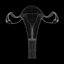 3D Female Reproductive system