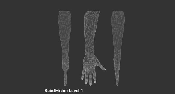 3d model rigged hand female