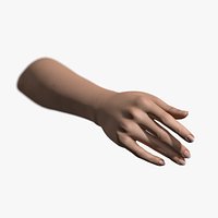 Rigged and Animated Hand (Female)