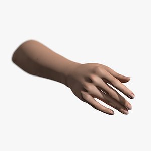 Rigged and Animated Hand (Female)