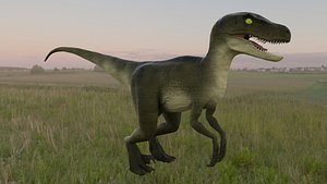 velociraptor raptor 3d model