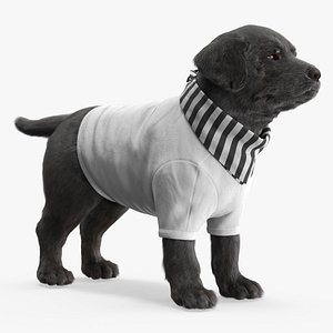 Dog Outfit with Striped Scarf White Black Fur 3D