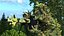 Francotirador en Leaf Ghillie Suit Rigged