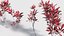 Cordyline rubra Low-poly 3D model