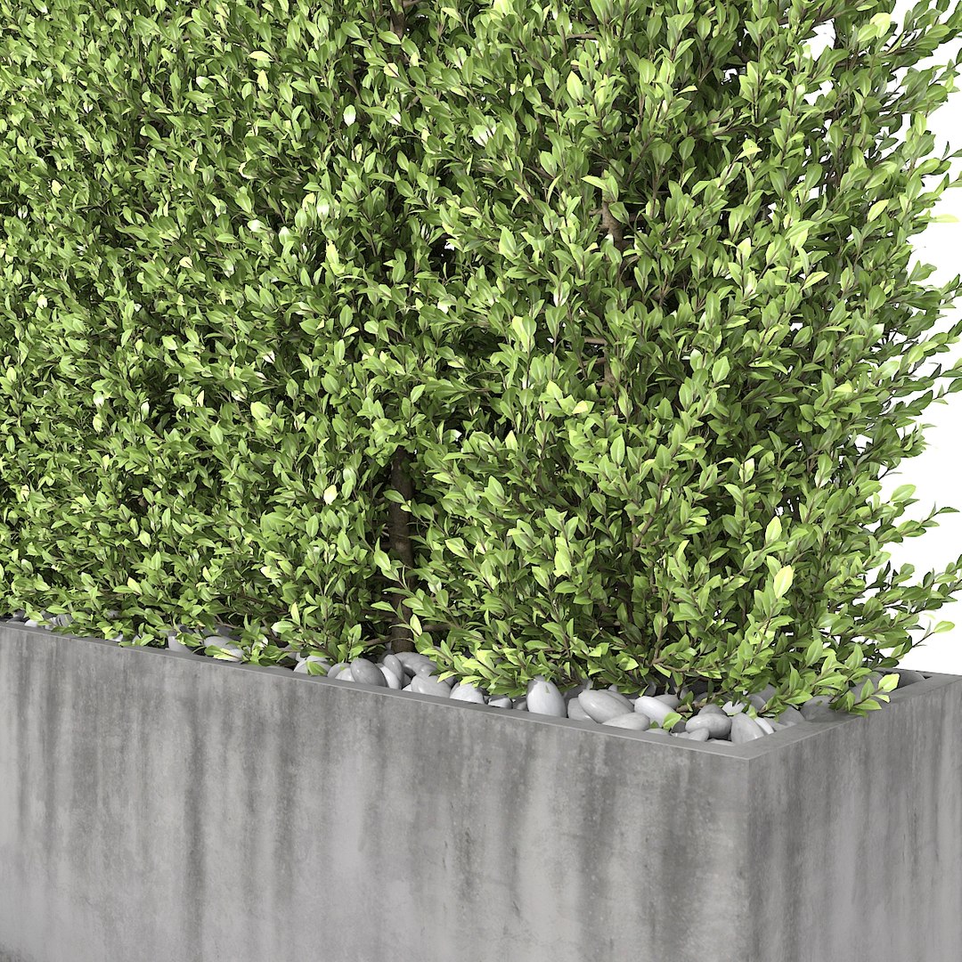 3D - boxwood fence https://p.turbosquid.com/ts-thumb/zF/ch4n2x/DuwGE9WJ/03/jpg/1496413831/1920x1080/fit_q87/9ae31226dad694f9e3713eff4cd696b231322947/03.jpg