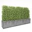 3D - boxwood fence