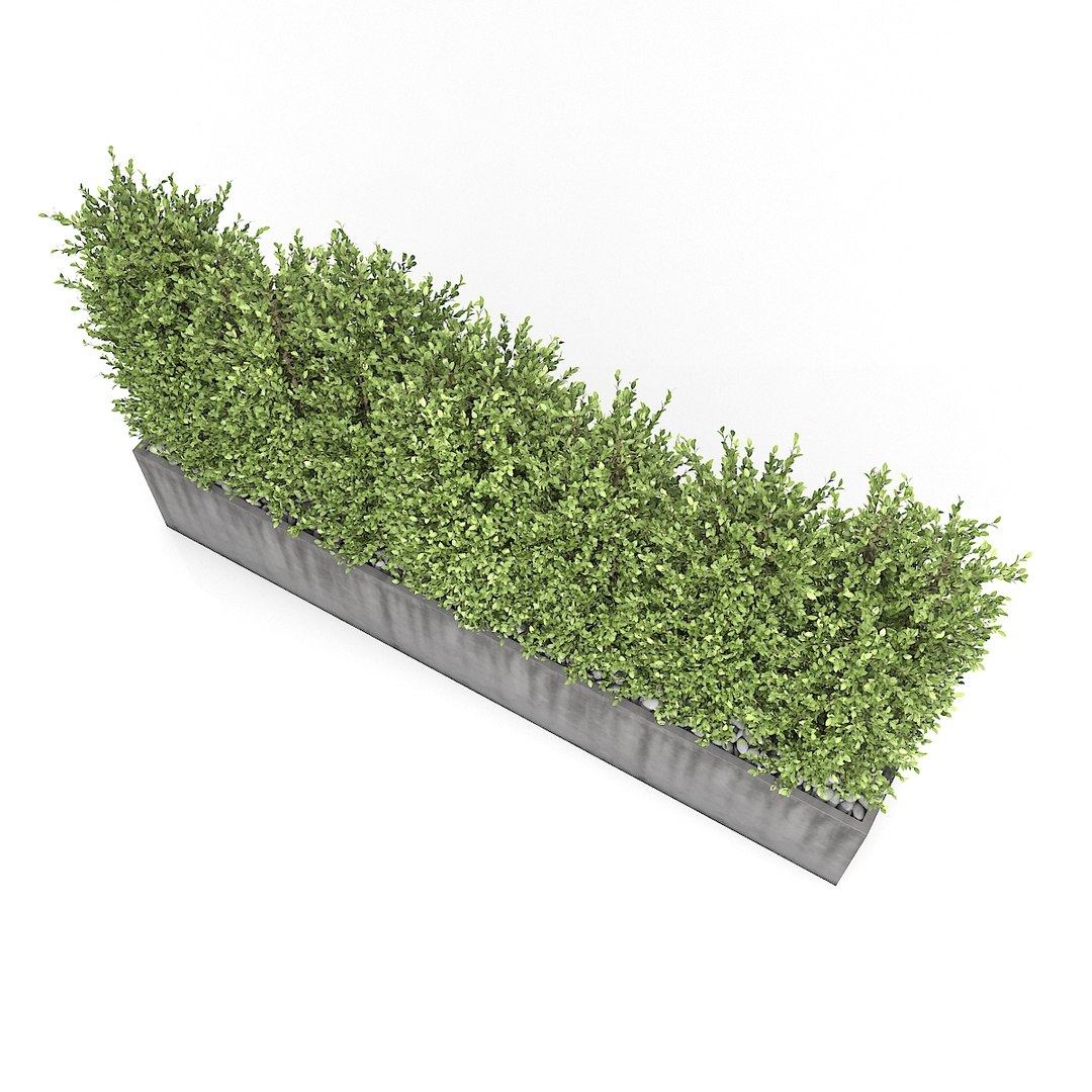 3D - boxwood fence https://p.turbosquid.com/ts-thumb/zF/ch4n2x/y2v8Nbdj/02/jpg/1496413831/1920x1080/fit_q87/be34a6a000266bf30d3afaa20daf8a5bdd1f2ee4/02.jpg
