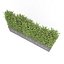 3D - boxwood fence
