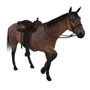 max rigged wild west horse saddle