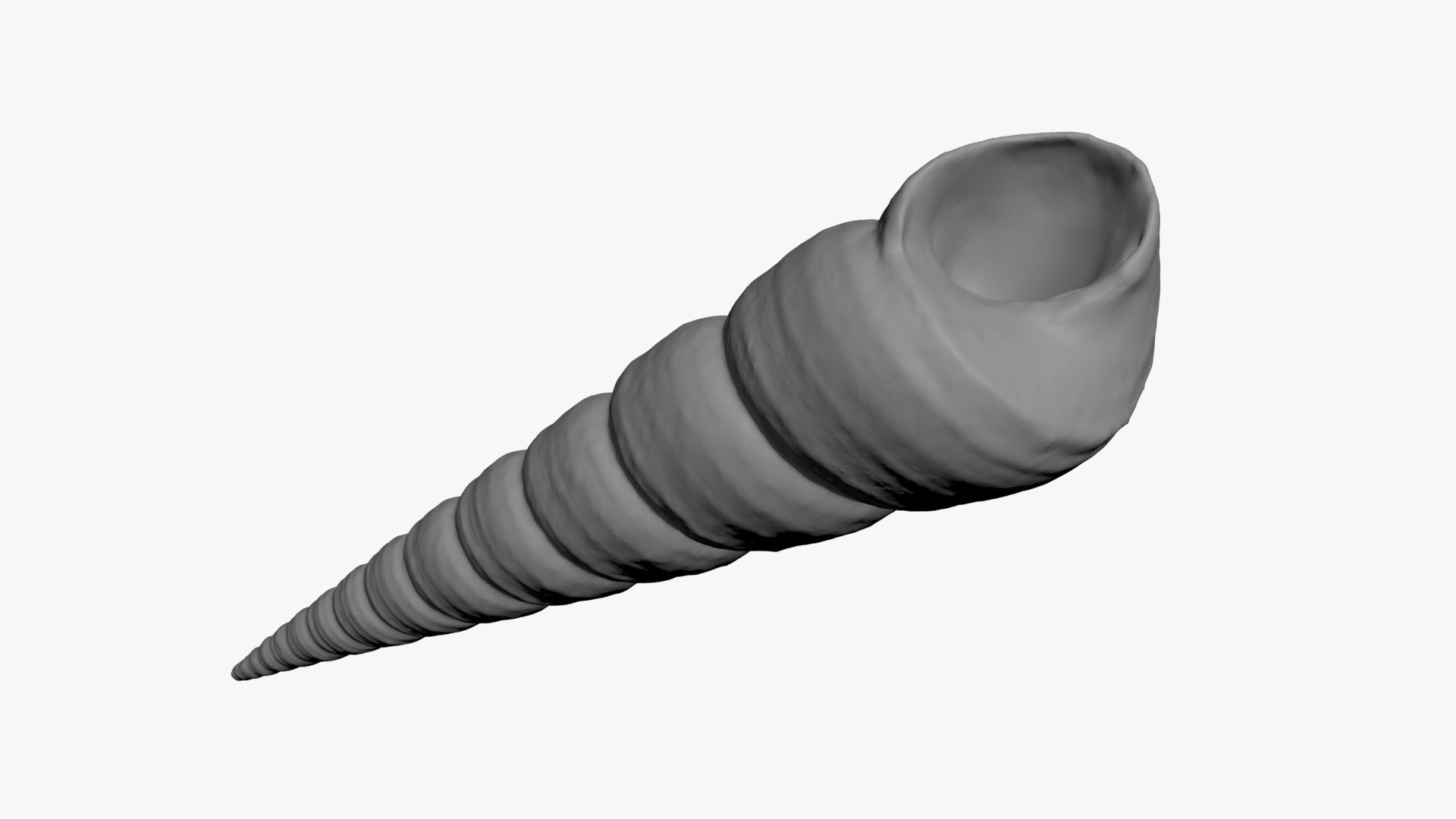 3D Turritella Communis Raw Scan Model - TurboSquid 2372091