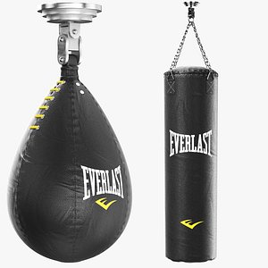 Two Detailed Everlast Boxing Punching Bags model
